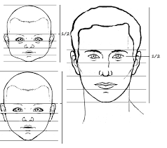 Drawing a face in proportion part 1 : Children S Facial Proportions Facial Proportions Face Proportions Face Proportions Drawing