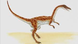At three feet tall and nine feet long, with a body weight of some 30 pounds, coelophysis is a dainty dinosaur from the triassic, before. Best 66 Coelophysis Wallpaper On Hipwallpaper Coelophysis Wallpaper Walking With Dinosaurs Coelophysis Wallpaper And