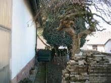 Das günstigste angebot beginnt bei € 33.000. Kleines Haus Ettlingen Immobilienfrontal De