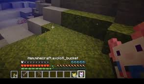 New minecraft update 1.17 axolotl. The First 1 17 Bug Report Axolotl Buckets Don T Have A Proper Item Name Mojira