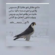 بيت شعر عن الصداقه تويتر Shaer Blog
