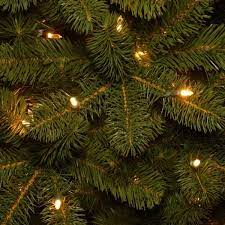 National Tree Company 12 Ft Downswept Douglas R Pencil Slim Fir Tree With Dual Color Led Lights Pedd4 392d 120 The Home Depot Allenspark 12' artificial christmas tree with 2100 clear lights. 12 ft downswept douglas r pencil slim fir tree with dual color led lights