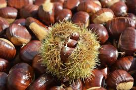 Quando pensiamo all'autunno, di solito. Castagne E Marroni Differenza Varieta Castagne Grosse Tipi Dop E Igp