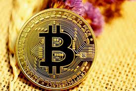 Bitcoin is by far the most popular cryptocurrency, but it's not the only option. 7q8tiiak Hicum