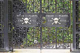 Maybe you would like to learn more about one of these? Step Inside The World S Most Dangerous Garden If You Dare Travel Smithsonian Magazine