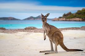 Das türkisblaue wasser des great barrier reef, der rote sand des outbacks und die küstenklippen, die das ganze land umrahmen, erwecken die schönsten orte australiens zum leben. Australien Sehenswurdigkeiten Und Reisetipps