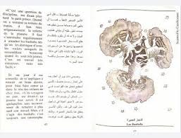 رواية الأمير الصغير عربي فرنسي Blog Posts
