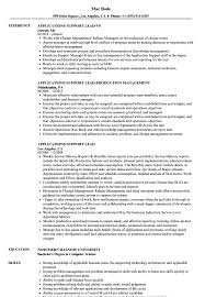 applications support lead resume