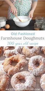 Delicious 100 Year Old Donut Recipe Step By Step Old Donuts Recipe Homemade Donuts Recipe Classic Donut Recipe