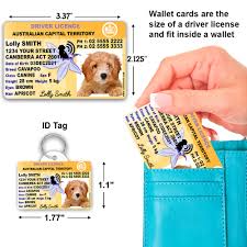 Australian Capital koffiemolen Territory License Plate