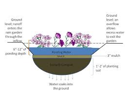 Rain Gardens Environment