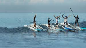 We did not find results for: Starboard Sup Germany Stand Up Paddling
