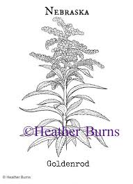 Kansas, montana, nebraska, north dakota, oregon these travellers mention it at page 236 of the first volume, editedby paul allen, esq., and revised. 49 Nebraska Ideas Nebraska Nebraska State Coloring Pages