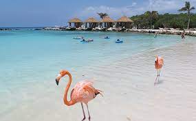 Flamingo Na Praia Saiba Onde Fica E Como Chegar A Este Paraiso Jornal Correio