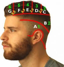 That means you can style it in many different ways. Corte Degradado Hombre En 7 Pasos Desvanecido Difuminado Fade