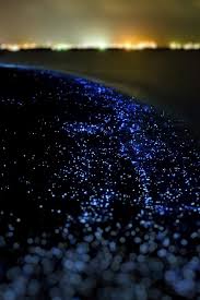 Hd wallpapers and background images Ocean Night Dark Blink Beautiful Nature Iphone Wallpaper Purple And Green Aesthetic 3087302 Hd Wallpaper Backgrounds Download