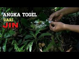 Pembahasan erek erek kalajengking lengkap kami ini akan membantu anda kalajengking merupakan salah satu hewan serangga yang terkenal akan bisanya yang. Bocoran Nomor Togel Dari Jin Hari Ini Edukasi Youtube