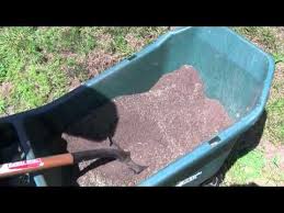 Choosing the right grass seed can be difficult. St Augustine Grass Care Florida Fertilizer Lawn Maintenance Schedule Planting Grass Lawn Fertilizer Grass Seed
