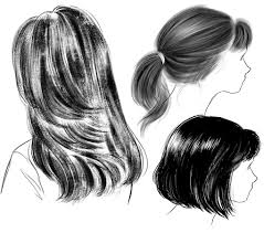 In the direction of profit a huge amount of money from supporters who try out copy of their hairstyle. How To Draw Hair Art Rocket