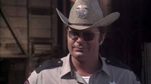 Following the cancellation of "The Beverly Hillbillies" in 1971, Max  (Jethro) Baer Jr. made numerous guest appearances