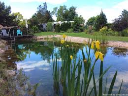 Maybe you would like to learn more about one of these? Einen Schwimmteich Selber Bauen So Geht S In Eigenleistung