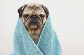 Try biotrue® hydration boost, naturally inspired eye drops that's preservative free. 8 Causes Of Puffy Eyes How To Get Rid Of Puffy Eyes