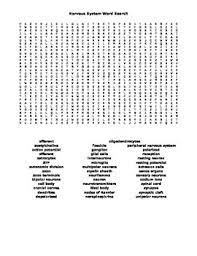 Word Search Covering The Nervous System For Anatomy Tpt