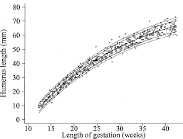 Charts Of Fetal Size Limb Bones Chitty 2002 Bjog An