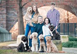 Welcome to terra incognita kennels, home of the italian water dog, also known as the lagotto romagnolo. About Legendary Labradoodles
