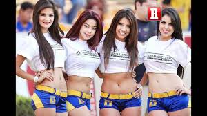 Resultado de imagem para porristas tigres