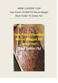 Saya memujinya dengan segala kesadaran bahwa sesungguhnya allah telah memudahkan saya untuk memahami sedikit ilmunya tentang. Pdf Www Yuriebsf Com Cara Panen Otomatis Ribuan Maggot Black Soldier Fly Setiap Hari Lilo Maldini Academia Edu