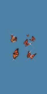Discover more aesthetic purple, blue butterfly, butterfly lockscreen, iphone wallpaper, monarch butterfly wallpapers. Aesthetic Orange Butterfly Wallpapers Top Free Aesthetic Orange Butterfly Backgrounds Wallpaperaccess