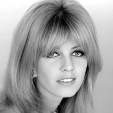 Watch The Last Shark (1981) Full Movie Free Online