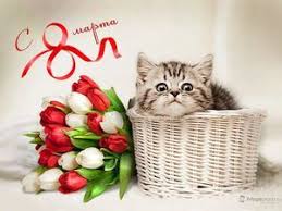 смс поздравления с 8 марта скачать бесплатно на телефон Pozdravlyayu S 8 Marta Pamyatnye Podarki Otkrytki Pozdravitelnye Otkrytki