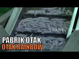 Sesuai dengan namanya , sosis merupakan. Kepoin Pabrik Pembuatan Otak Otak Rainbow Sukabumi Si Unyil Youtube