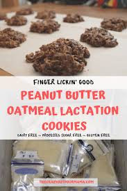 The Tastiest Healthy Lactation Cookies Ever No Bake Easy To Make Vegan And Gluten In 2020 Dairy Free Lactation Cookies Healthy Lactation Cookies Lactation Cookies