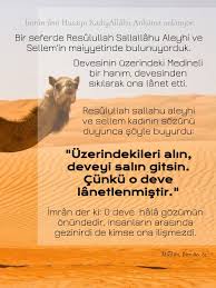 Beddua Ile Ilgili Hadis 2020 Dini Alintilar Ilham Verici Sozler Kitap Kenari