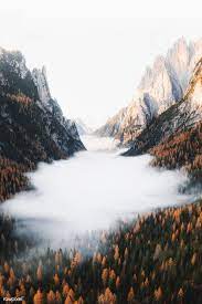 Pin On Fall