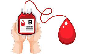 فصد خون شبانه روزی