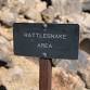 Living with Wildlife: Snakes (with WY State Parks)