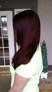 Tony Donahue Hair Design Merlot Hair Color Matrix Hair Color Wine Hair