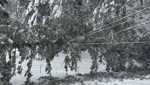 LIVE MAP: Tracking power outages in New Mexico
