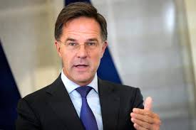 Spain Park's Austin Wiley named to USA Men's U17 World Championship Team