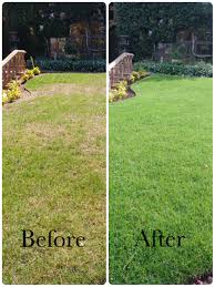 Learn more about how lawn doctor compares to lawn care service companies like trugreen and scotts lawn care service. Lawn Services For The Oceanside Area Lawn Doctor Of North County Coastal