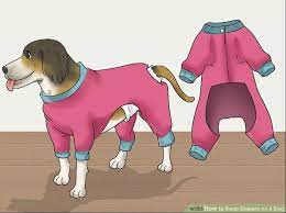 Wrap the diaper around your dog by bringing the bottom portion of the diaper up and over the front of your dog and wrapping the sleeves around the back and to the front. 7 Diy Dog Diaper Ideas Homemade Puppy Diapers For Messes