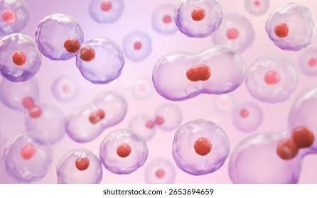 4,5 mil resultados de imágenes, fotos de stock e ilustraciones libres de regalías para Mitosis microscope | Shutterstock