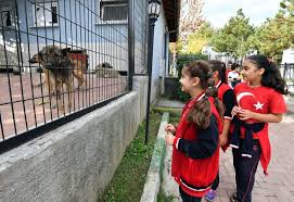 Bursa Da Ogrencilerden Can Dostlara Mama Destegi Bursa Haberleri Bolge Haberleri Bursadabugun Com