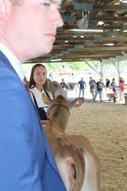 BE CV BK.2025-R-DBE CV BK.2025-R-D 5+4x5-4=