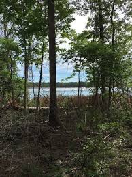 Best Trails In Sam Houston National Forest Texas Alltrails