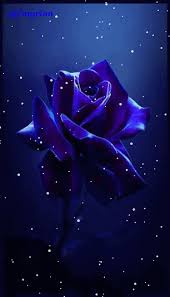 Https Encrypted Tbn0 Gstatic Com Images Q Tbn And9gctk Awfugbwbozpdv8qsp Vtlqygmbdrar4jw Usqp Cau